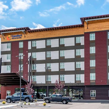 Comfort Inn & Suites Lakewood By Jblm Экстерьер фото